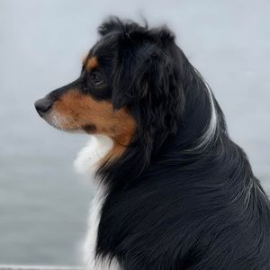 Meet your Posher, Franzine